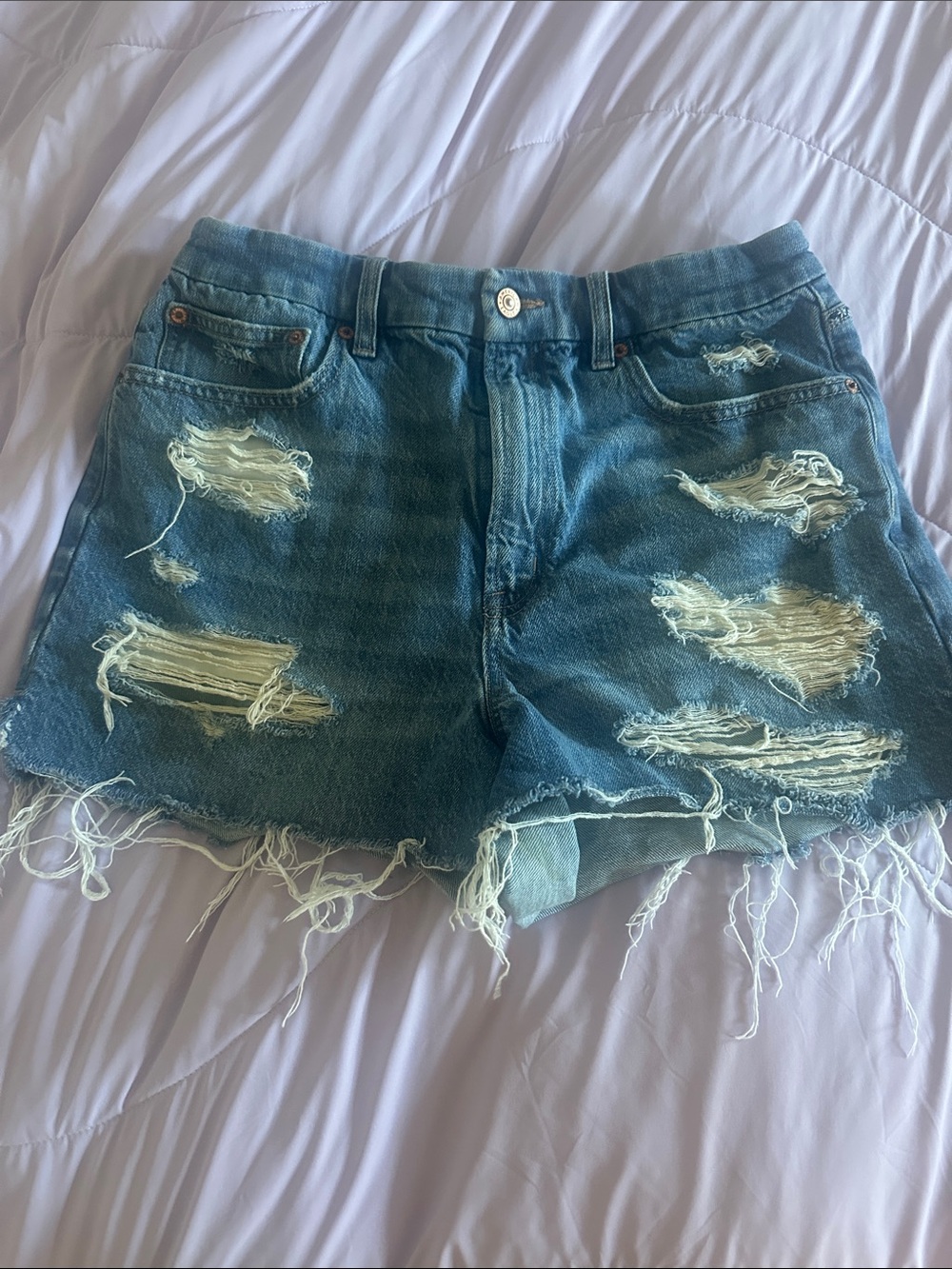 American Eagle Outfitters Curvy 90’s Boyfriend Short
